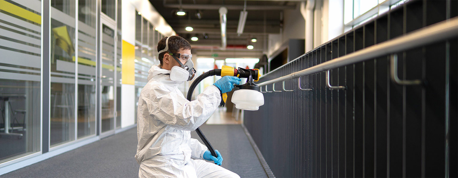 Sanitizing + Disinfecting your Home Safely Belmont Clean